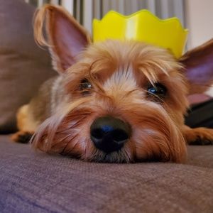 Meet your Posher, Jelena